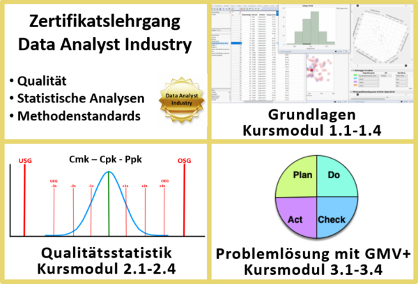 Data Analyst Industry - Alle Kursmodule im Bundle
